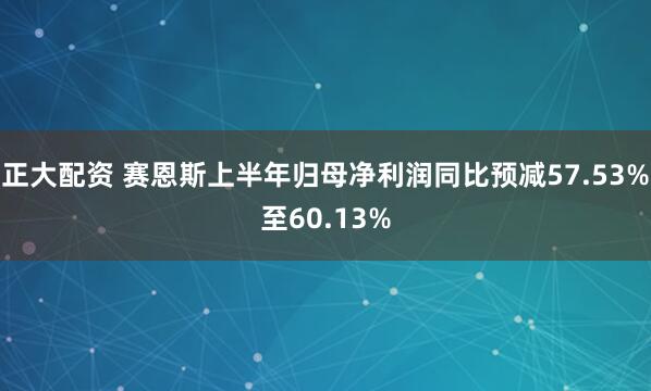 正大配资 赛恩斯上半年归母净利润同比预减57.53%至60.13%